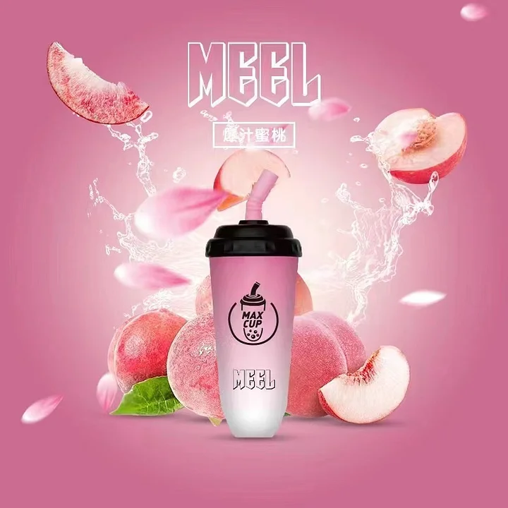 【台灣現貨】MEEL 奶茶杯 6000 PUFFS 拋棄式電子煙 可充電一次性煙桿 超持久風味 原裝正品 12ml 4 【台灣現貨】MEEL 奶茶杯 6000 PUFFS 拋棄式電子煙 可充電一次性煙桿 超持久風味 原裝正品 12ml:圖片 4