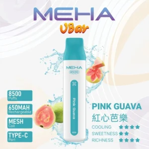 MEHA 小白條 8500 口拋棄式電子煙|超高還原口感・多風味任選・台灣現貨直發 21 MEHA 拋棄式電子煙
